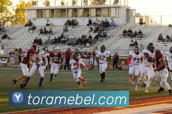 APP界面展示